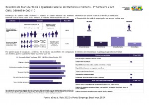 Relatório de Transparência e Igualdade Salarial de Homens e Mulheres - 1º sem 2024 - DL[8442]